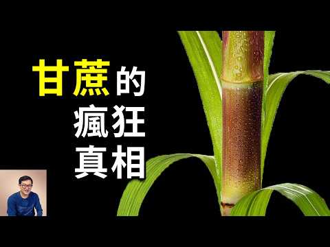 為什麼說糖是甘蔗的陰謀？綁架人類味覺，用C4光合作用開掛，成為世界上產量最高的農作物！【老肉雜談】#生物 #植物 #農作物 #甘蔗 #糖