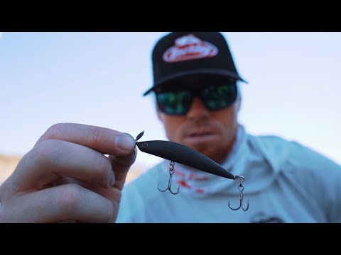Berkley SPY Spinbait hard fishing Lure: Josh Bertrand Give Pro Fishing Tips
