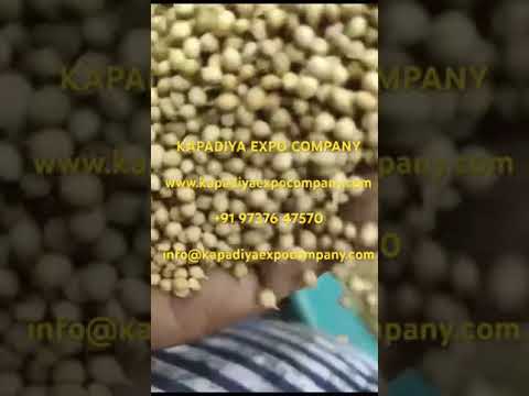 Natural brown whole coriander seed, form: seeds