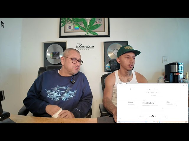 Damizza Synergy Song Review
