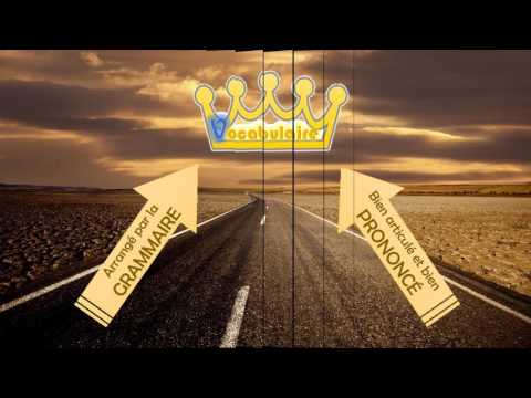 DELF A1 Junior - Module  3 M. Farouk