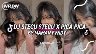 Download lagu DJ STECU STECU X PICA PICA SLOW VIRAL TIKTOK FULL BY MAMAN FVNDY 2025 mp3