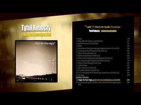 Tytuł Roboczy - Nigdy Nie Mów Nigdy feat Kozi, ZeteMel