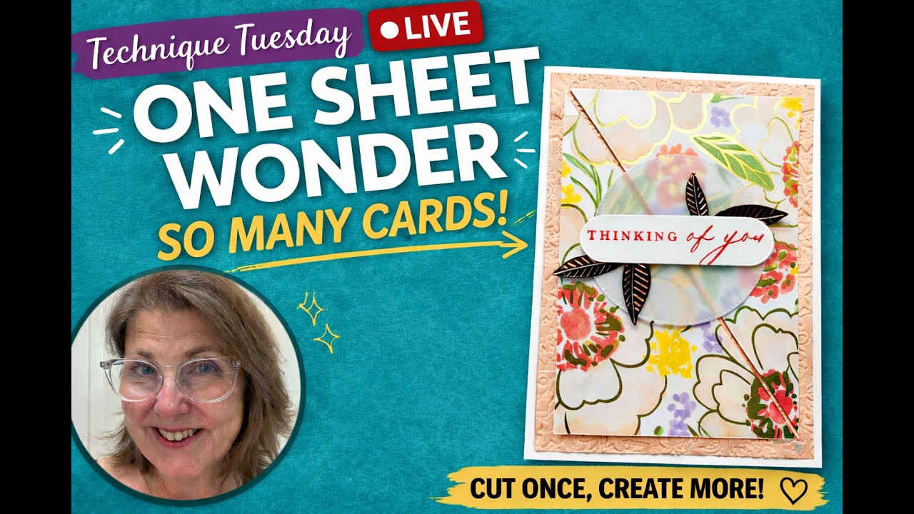 One Sheet Wonder - So Many cards! Easy card making ideas!