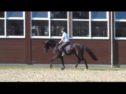 FÜRSTBISCHOF von Fürst Romancier