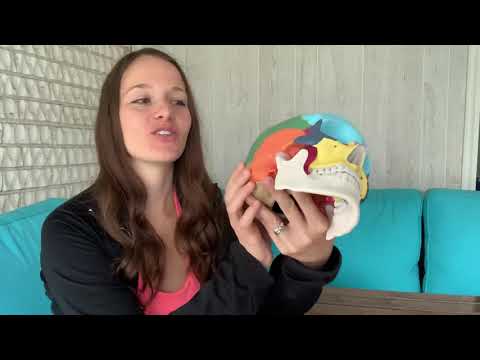 Sphenoid release for headaches/hormonal imbalance using myofascial release/craniosacral technique