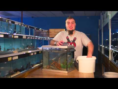 Fishkeeping Tips - How To Perform A Water Change On An Aquarium