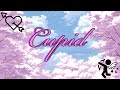 Cupid Fifty Fifty An English Cover