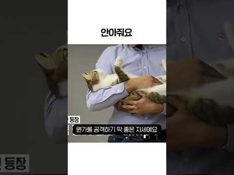 아이콘