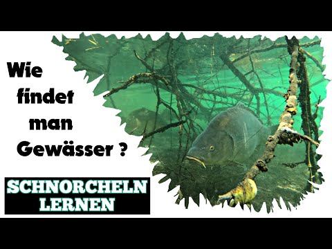 So findest du ein Gewässer zum Schnorcheln! - Teil 1 - Recherche Zuhause - Schnorcheln lernen