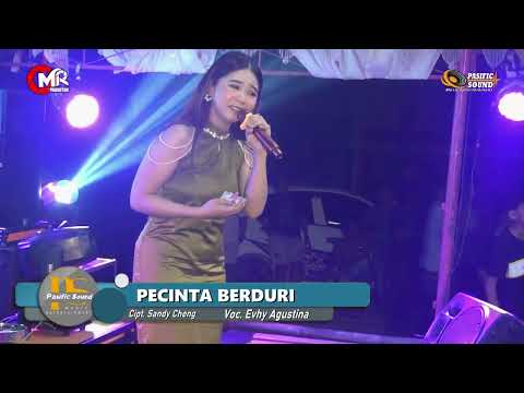 PECINTA BERDURI - EVI AGUSTINA LIVE MUSIK ELECTONE