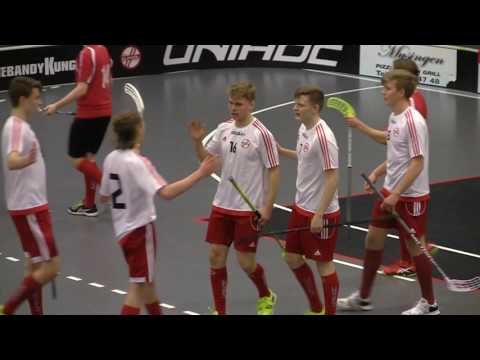 HJ IBK Elfhög vs IBK Vänersborg period 1