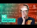 Wie werde ich intelligenter? | Quarks: Dimension Ralph