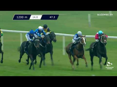 Nagroda Pawimenta 12.11.2022 - (Dzień 45; Gonitwa 5)