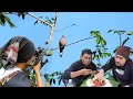 Berburu Burung Tekukur Hasilnya Langsung Jadi Masakan Enak