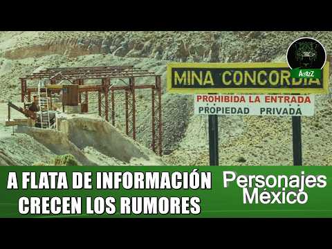 A mass grave was found in El Verde, La Concordia, Sinaloa; what has been confirmed?