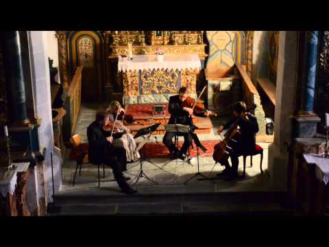 Streichquartett Schweiz I Tchaikovsky String Quartet No.1 I Allegro non tanto e con fuoco