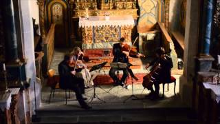 Streichquartett Schweiz I Tchaikovsky String Quartet No.1 I Allegro non tanto e con fuoco
