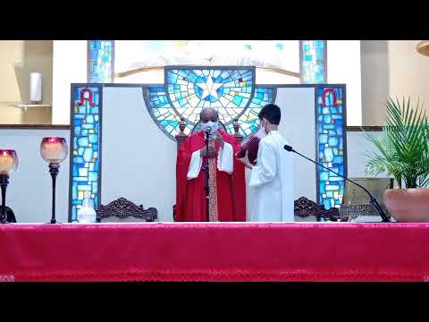 Missa do Domingo de Ramos na Matriz Imaculada Conceição de Mogi Guaçu c/ Pe. Sebastião.