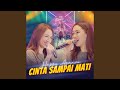 Cinta Sampai Mati