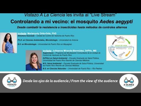 Controlando a mi vecino: el mosquito Aedes aegypti