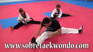 Stretch training in Taekwondo