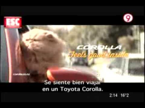 Publicidad: Gato en un Toyota