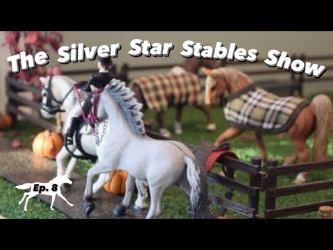 The Silver Star Stables Show - Episode 8 |Schleich Horse Role-Play Series|