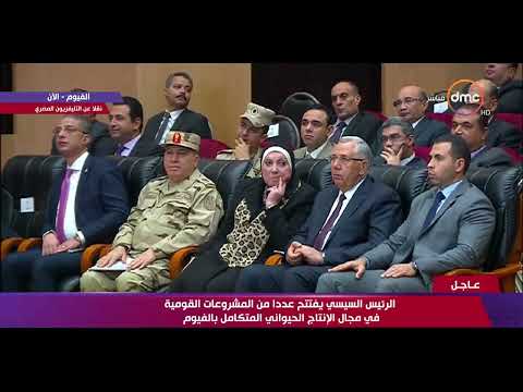 Fayoum slaughterhouse