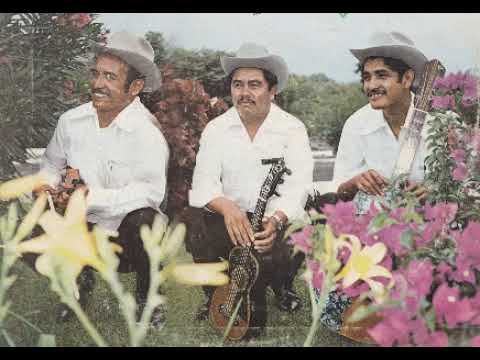 Trio Armonia Huasteca - Indita mia