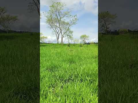 Finca de 4 Caballerías en jobompiche San José Petén