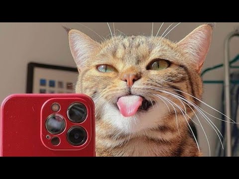 В 2026 животные ведут себя ещё страннее — и это невозможно не смотреть