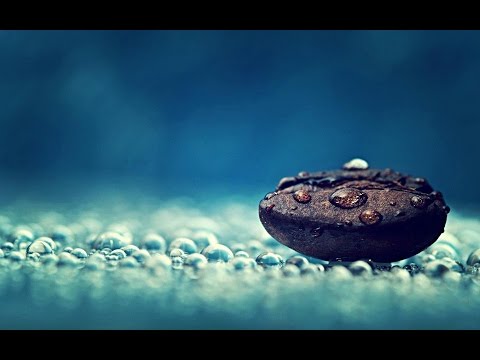 Feelin' Frisky Only Silk Universal Solution