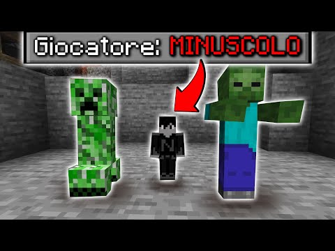 Minecraft, ma SONO MINUSCOLO...