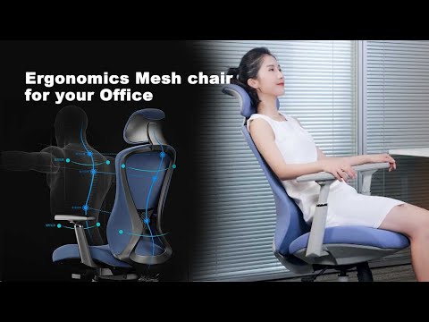 K2 Vaseat Ergonomics Mesh Chair For Office