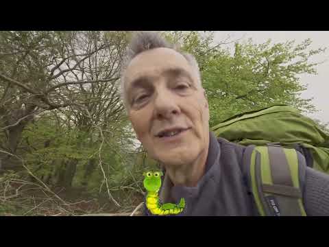 Walking The South Downs Way  (Day 1 - Part 1)