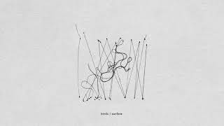 Plini – "birds / surfers"