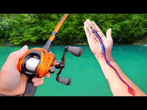Fishing BIG Worms for Pond MONSTERS!