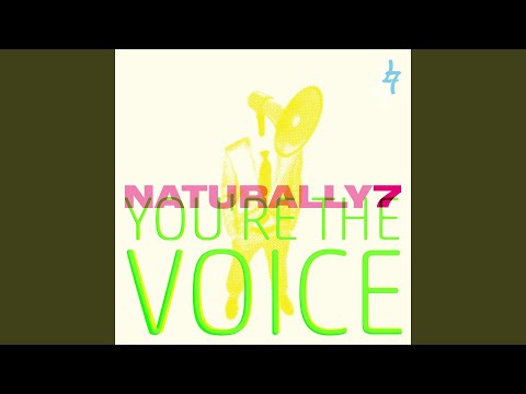 You're the Voice (Instrumental)