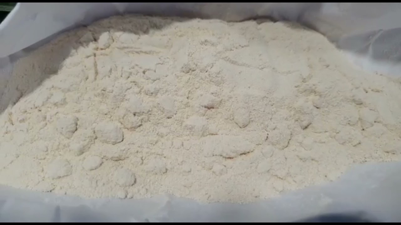 (VIDEO) Una mujer quedó en prisión preventiva tras operativo antidrogas en Linares que terminó con el decomiso de cocaína y “éxtasis”