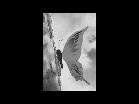 Arbour, drkmnd - Interstellar [LoFi]