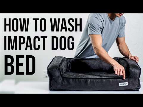 How To Wash Impact Orthopedic Dog Bed