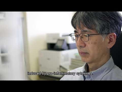 応用生物学課程 Research at Kyoto Institute of Technology Vol.23 -- Prof. KATAOKA Takao