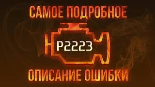 Що таке dtc p2223