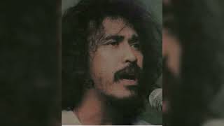 Iwan fals 🎸 Ada lagi yang mati (1988)