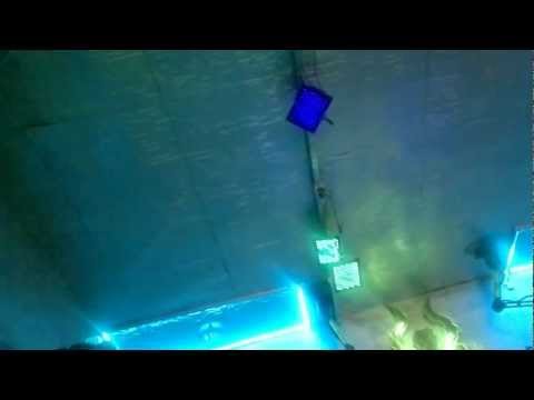 Wut WoodLee in Cyberdog Camden Market - June 2012