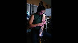 Soft Bitter Touch on Chapman Stick