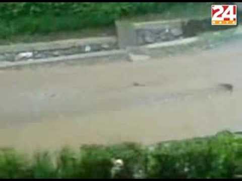 Međimurje: Oluje i poplava uništili krovove i usijeve