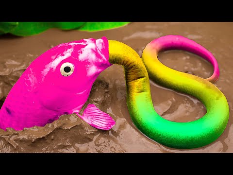 Funny Animails Mud Survival - Koi Fish Compete For A Gift - Stop Motion Fish In Mud Coco