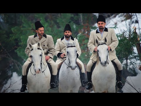 Silvia Timiș - Intră pețitori în sat! (Cântec de Crăciun 2024)